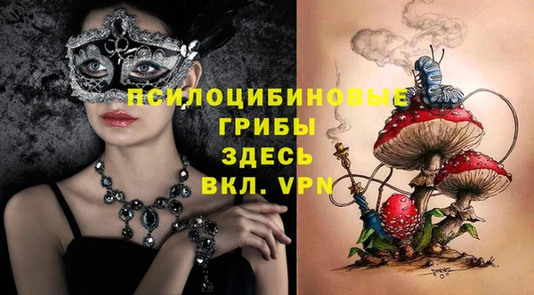 дмт Верея