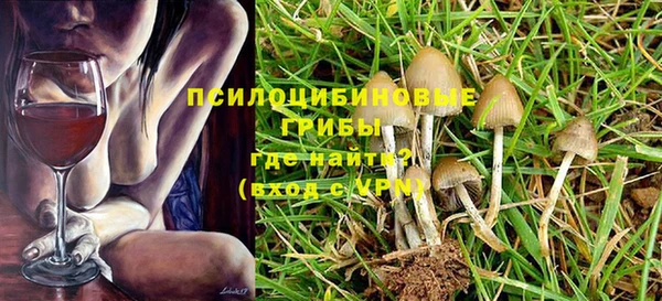 сатива Верхнеуральск