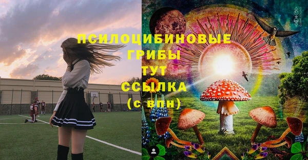 дмт Верея