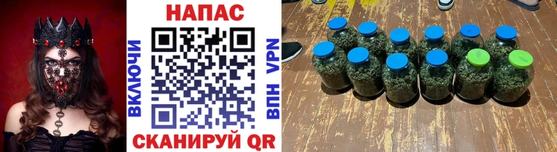 Бошки Шишки семена  Купить закладки  Новоузенск 